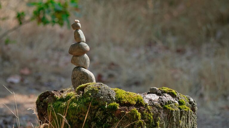 Mindful Breaks You Can Take in Five Minutes to Refresh Your Day